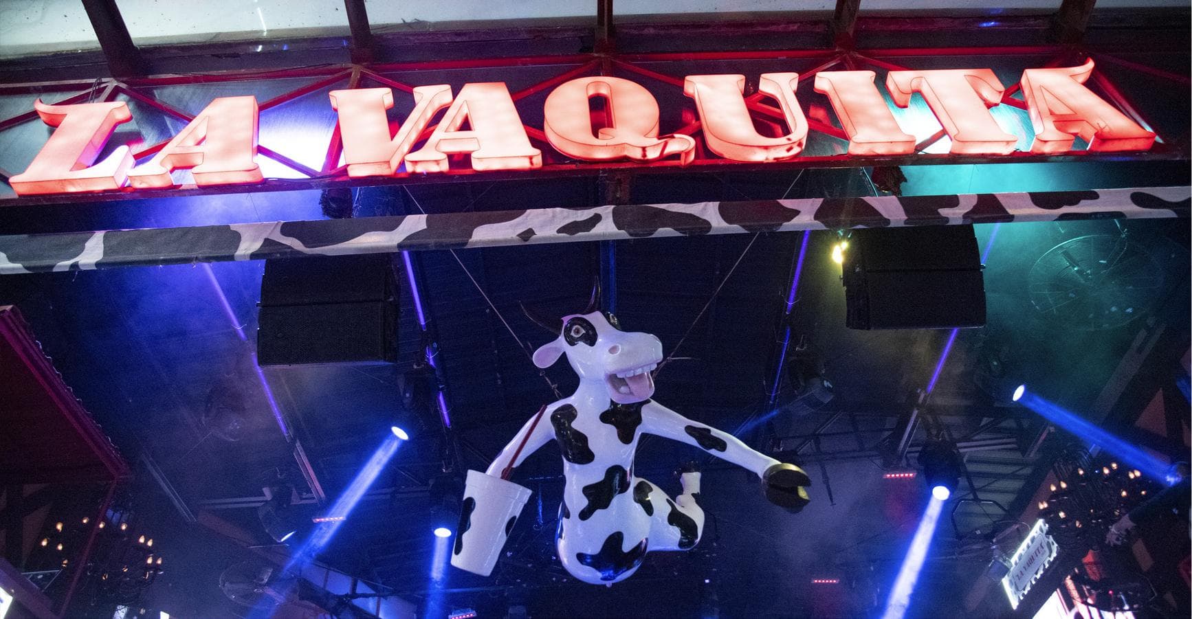 The club's neon sign above the floor, the cow figure hanging under the stage lights.