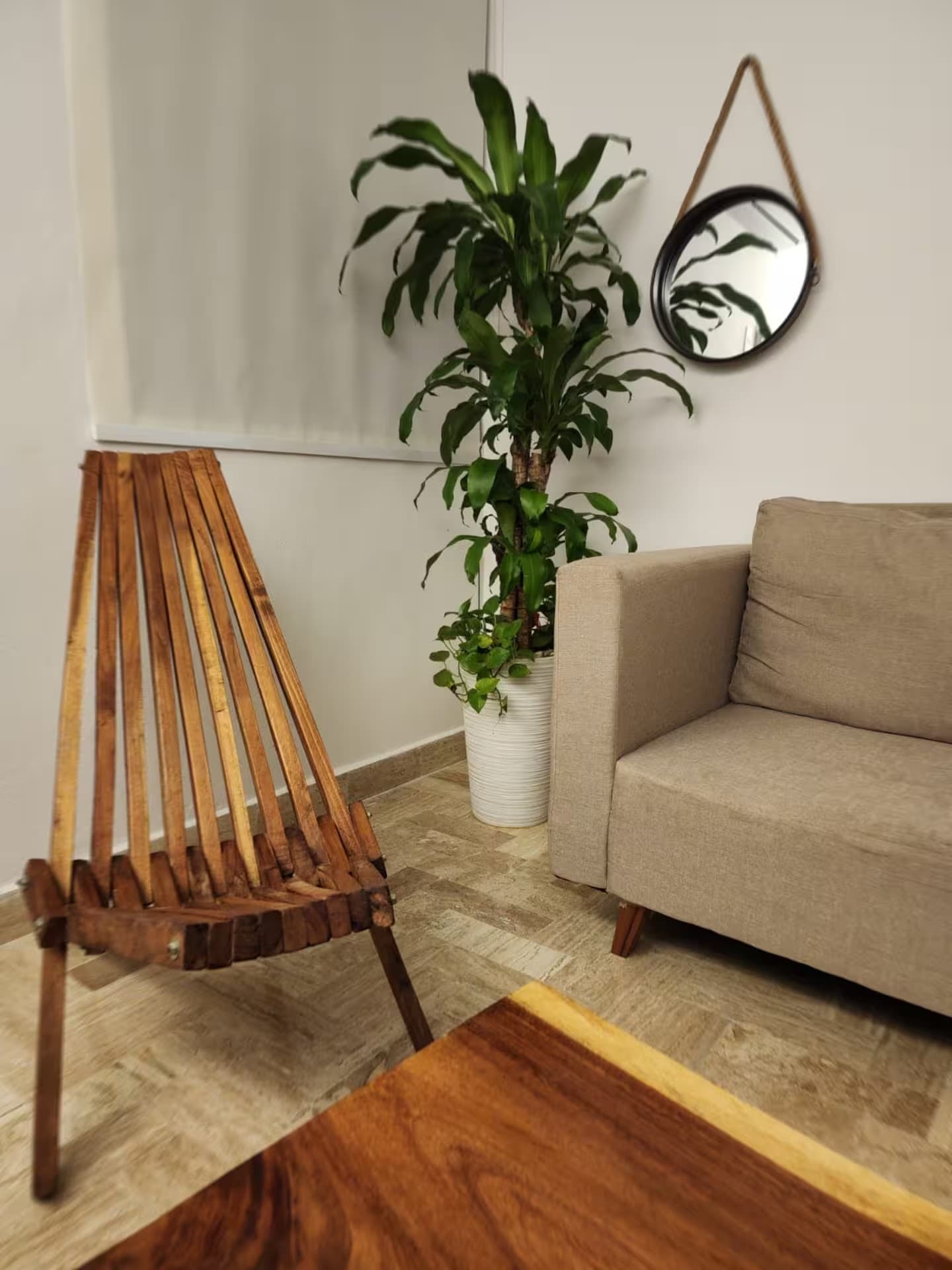 Corner of the living room with a wooden chair and a tall plant.